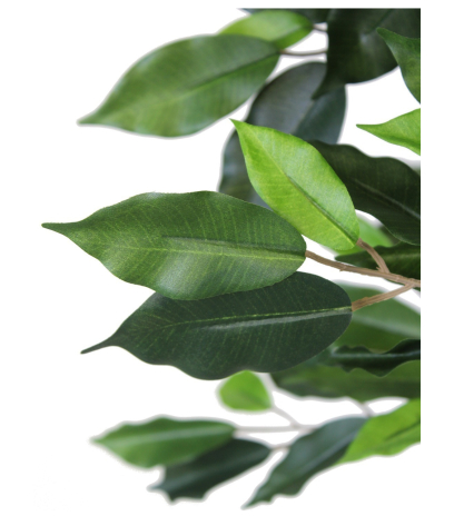 Ficus artificiel simple