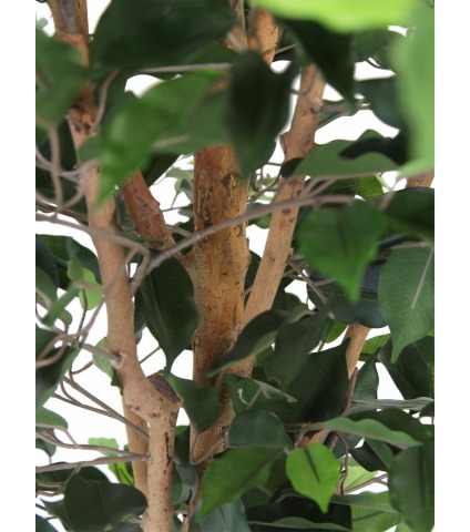 Ficus artificiel simple