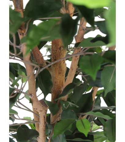 Ficus artificiel simple