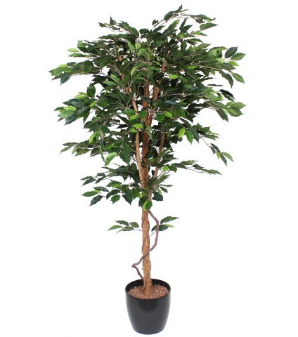Ficus artificiel simple