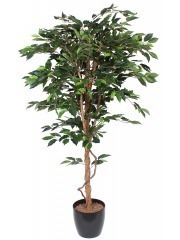 Ficus artificiel simple