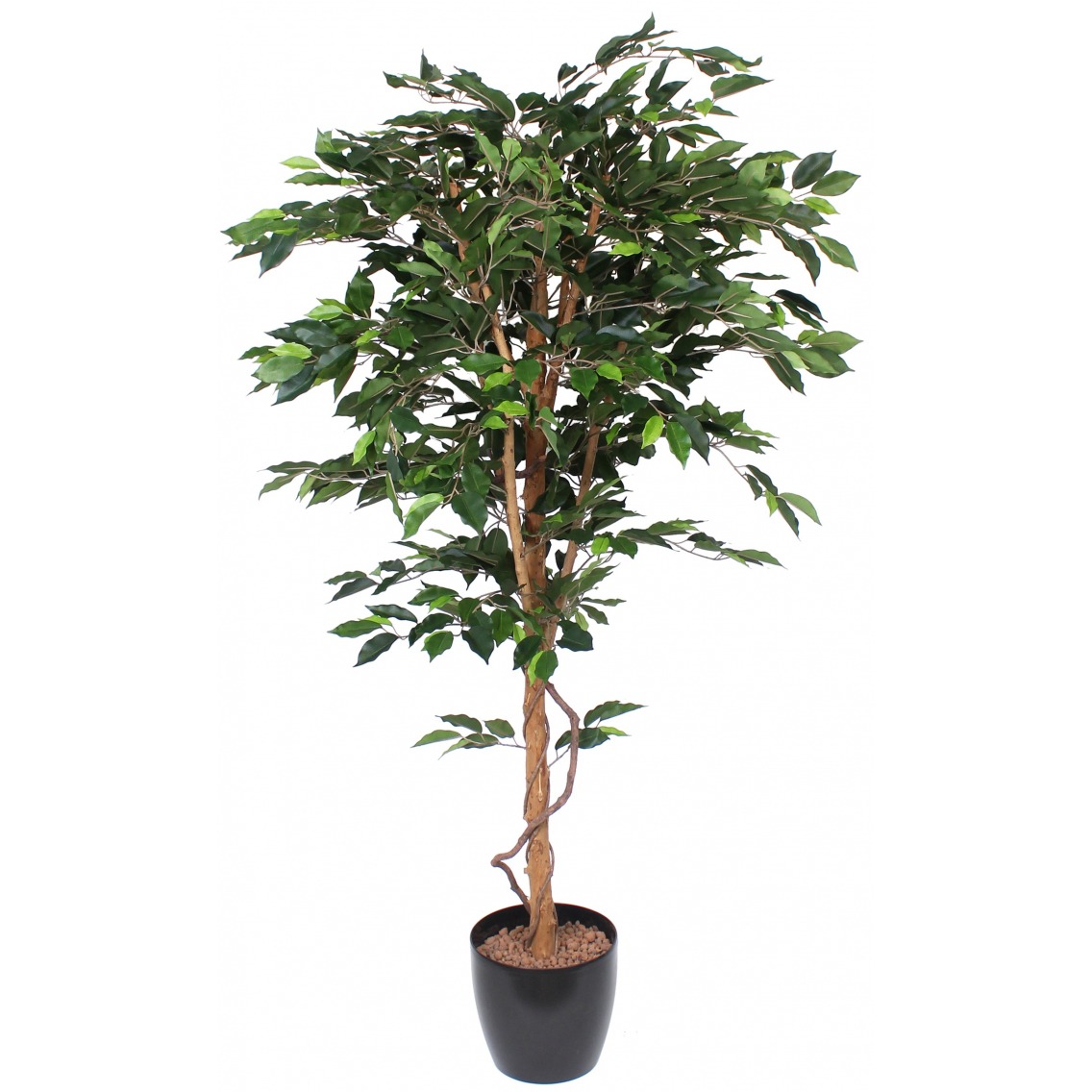 Ficus artificiel simple