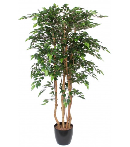 Faux ficus tête feuillue