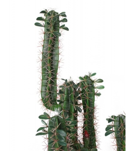 Cactus finger artificiel