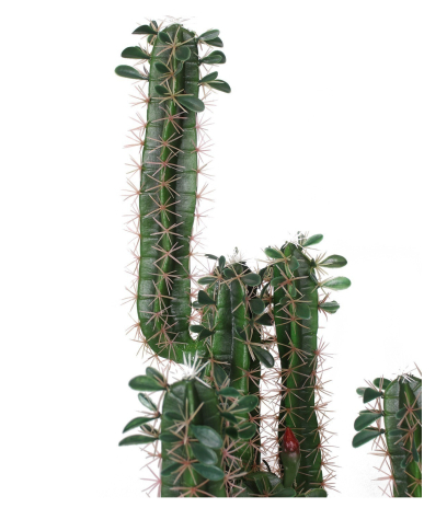 Cactus finger artificiel