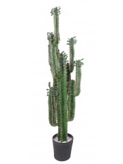 Cactus finger artificiel