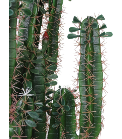 Cactus finger artificiel