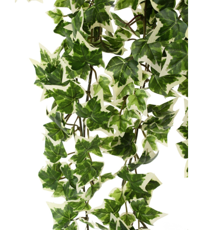 Lierre artificiel hedera