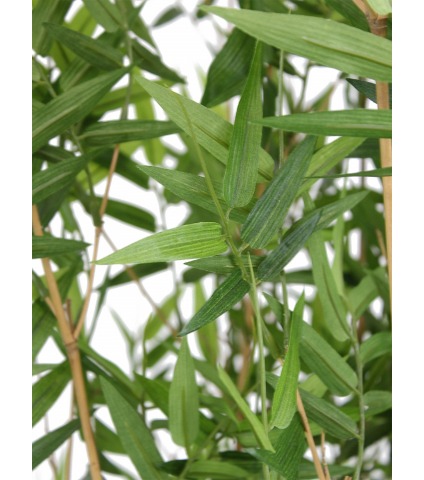 Bambou artificiel buisson