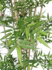 Bambou artificiel multi-chaumes