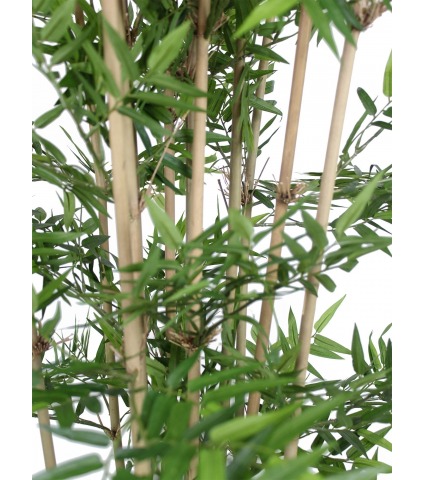 Bambou artificiel multi-chaumes