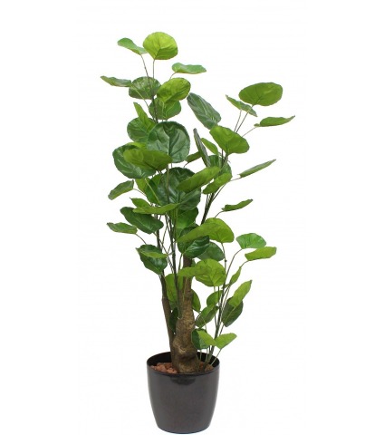 Aralia fabian artificiel