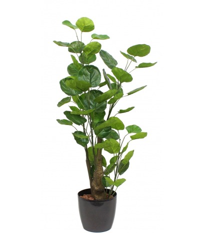 Aralia fabian artificiel