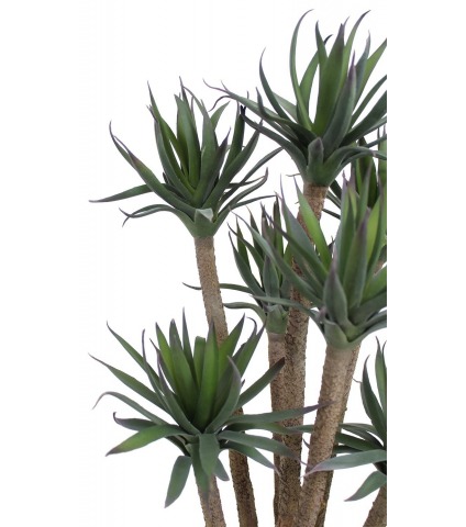 Agave artificiel à sept têtes
