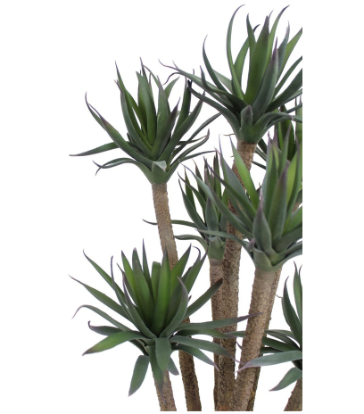 Agave artificiel à sept têtes