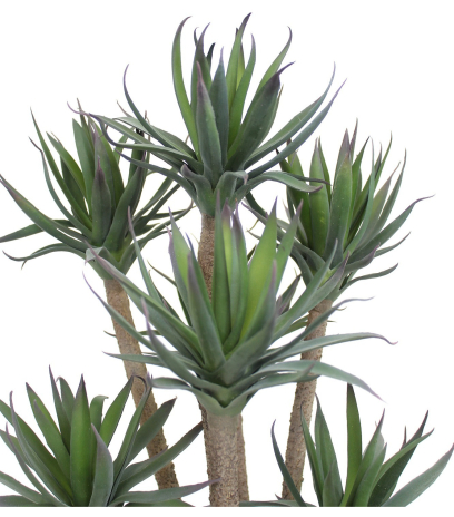 Agave artificiel à sept têtes