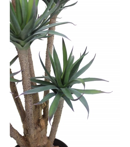 Agave artificiel à sept têtes