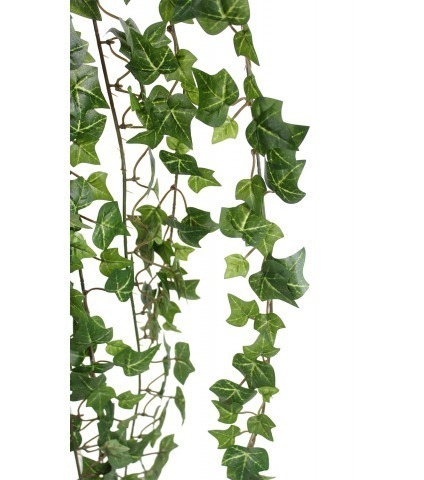 Grand lierre d'Irlande artificiel