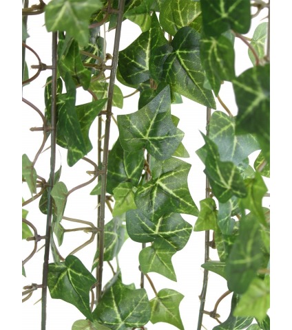 Grand lierre d'Irlande artificiel