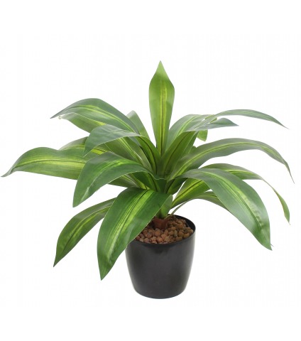 Dracaena vert et jaune artificiel