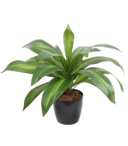 Dracaena vert et jaune artificiel