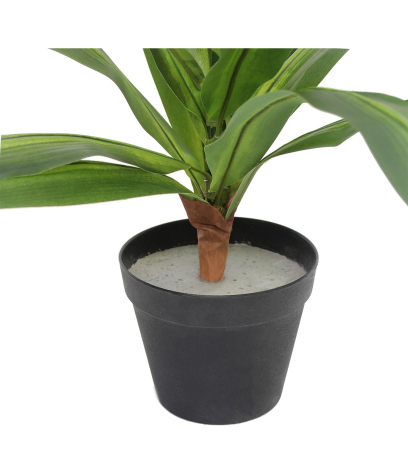 Pot