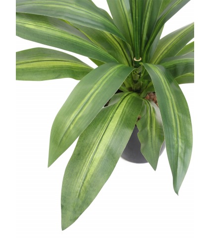 Dracaena vert et jaune artificiel