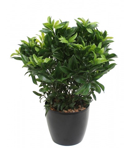 Laurier artificiel buissonnant