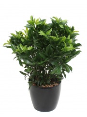 Laurier artificiel buissonnant