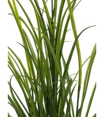 Fausse herbe des champs