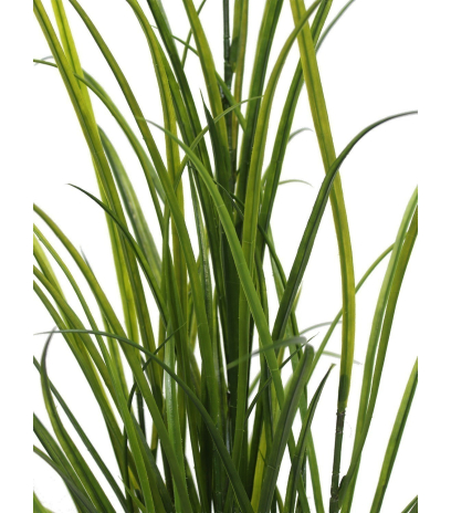 Fausse herbe des champs