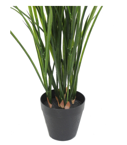 Fausse herbe des champs