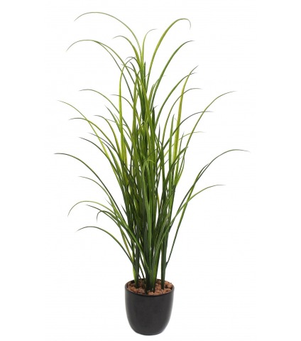 Fausse herbe des champs