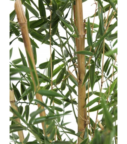 Bambou artificiel japonais
