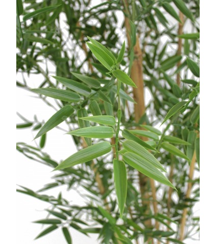 Bambou artificiel japonais