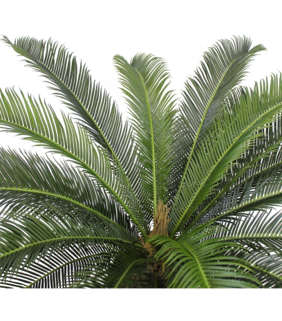 Cycas artificiel à grandes palmes