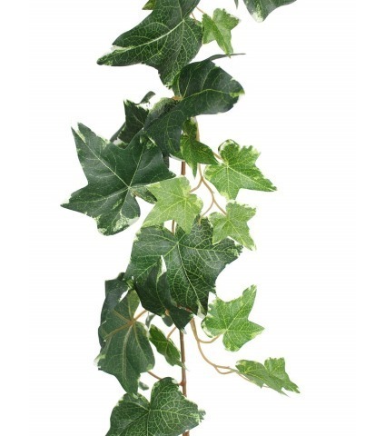 Grande guirlande de lierre panaché