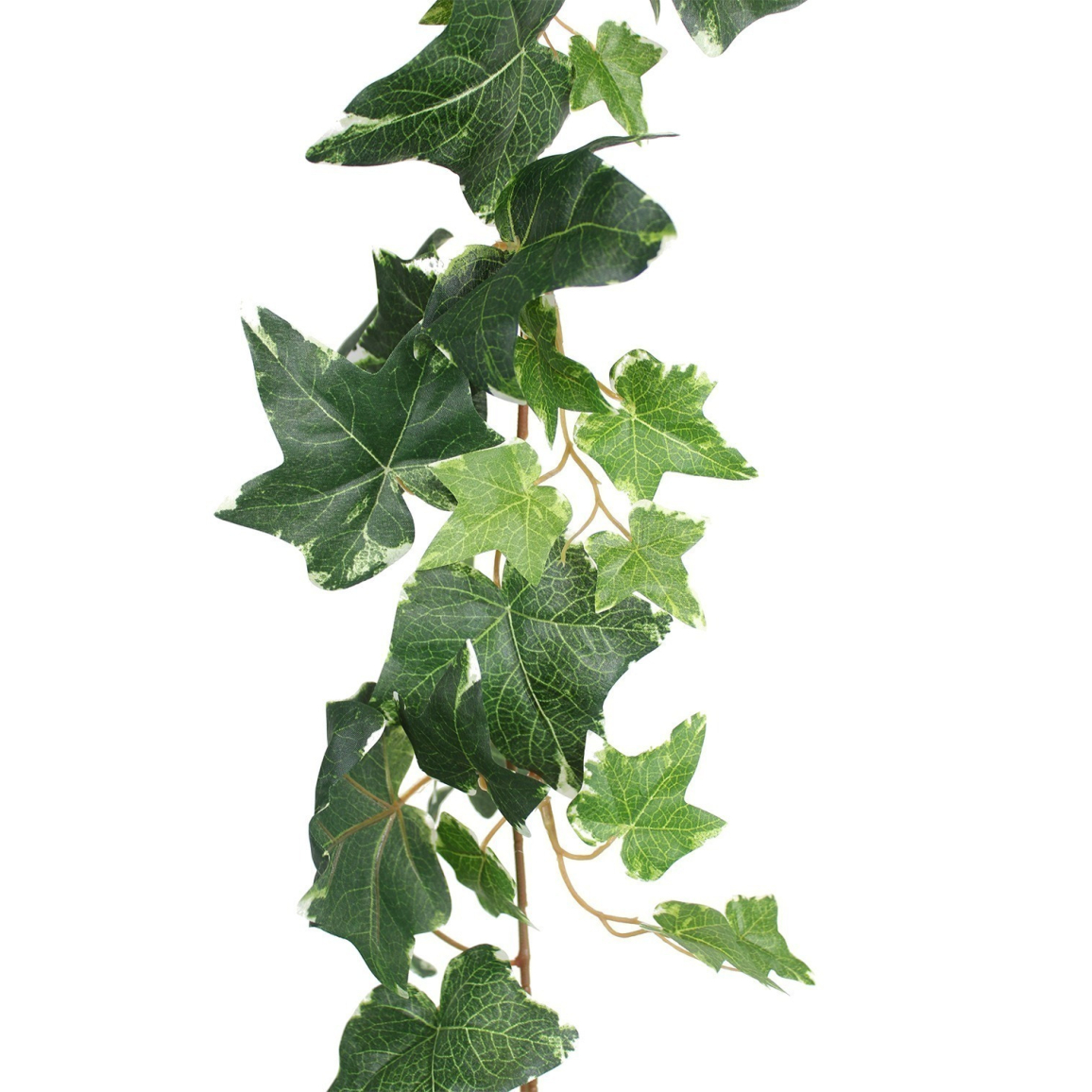 PERFETSELL Lot de 12 guirlandes de lierre artificiel de 2 m - Guirlande de lierre à suspendre - En plastique - Avec serre-câbles en nylon - Pour bureau, cuisine, jardin, fête, balcon