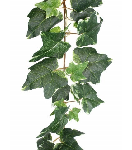 Grande guirlande de lierre panaché