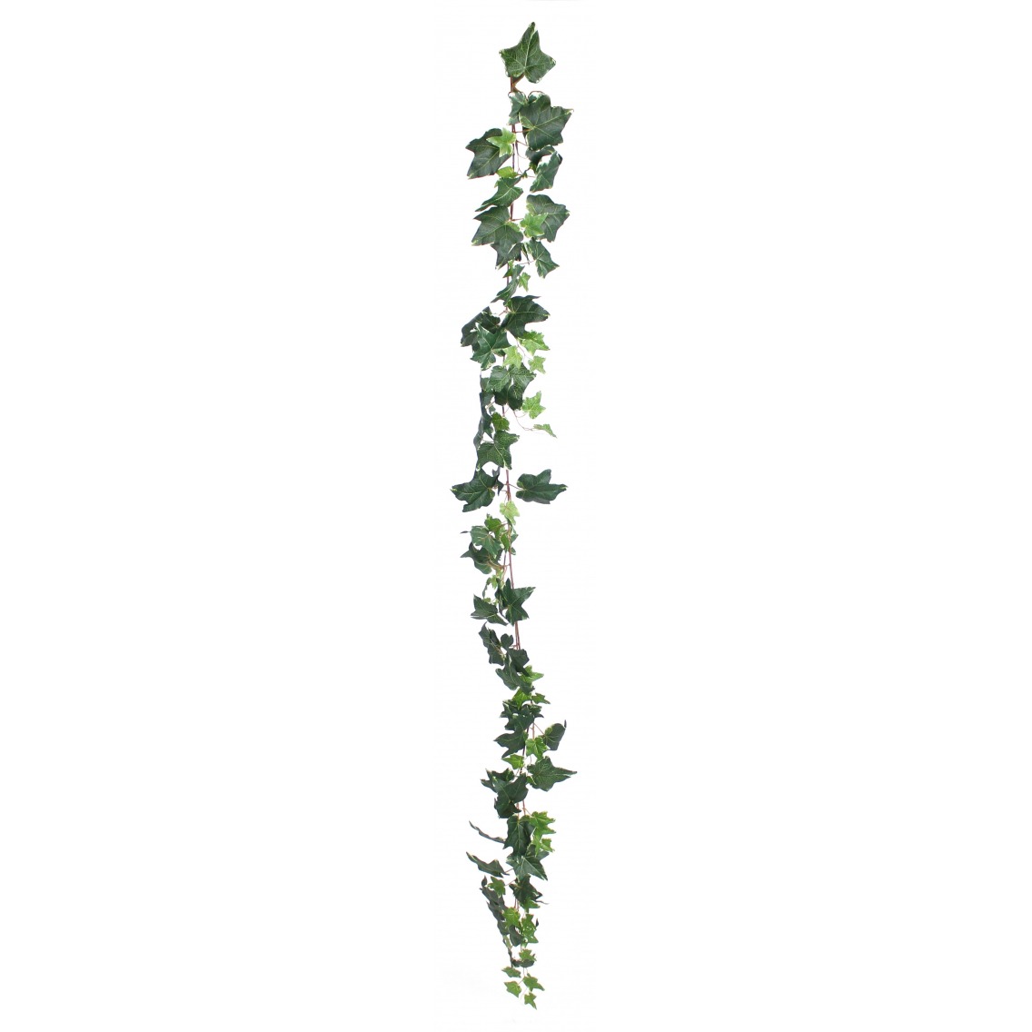 Grande guirlande de lierre panaché 190 cm - Guirlandes artificielles -  Artiplantes