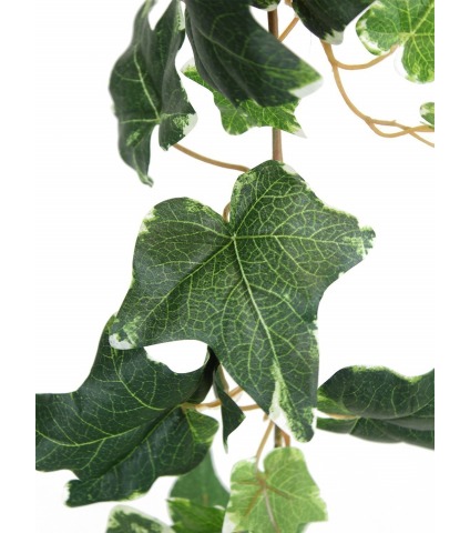 Grande guirlande de lierre panaché