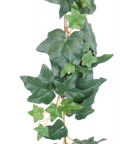 Grande guirlande de lierre commun