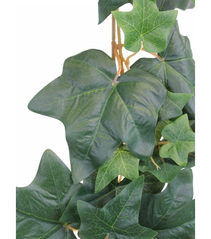 Grande guirlande de lierre commun