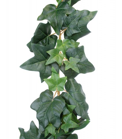 Grande guirlande de lierre commun