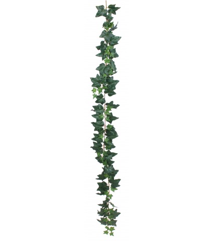 Grande guirlande de lierre commun