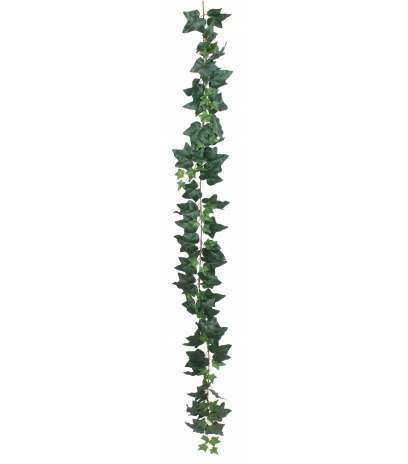 Grande guirlande de lierre commun