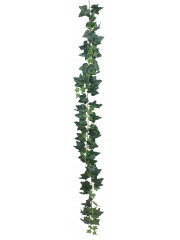 Grande guirlande de lierre commun