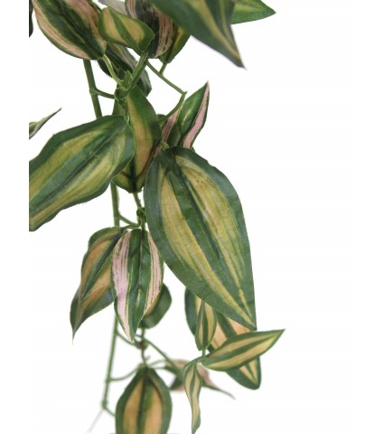 Tradescantia artificiel tombant