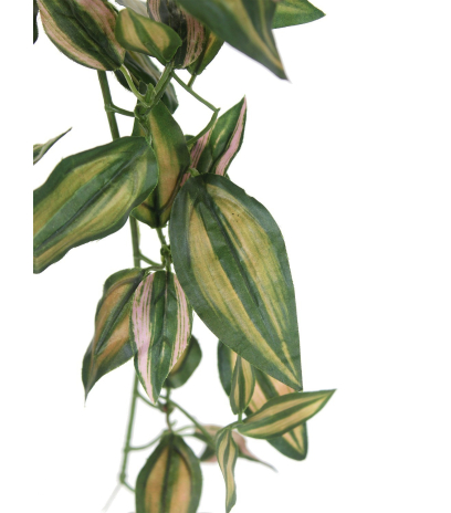Tradescantia artificiel tombant