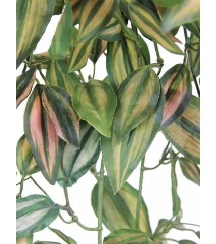 Tradescantia artificiel tombant